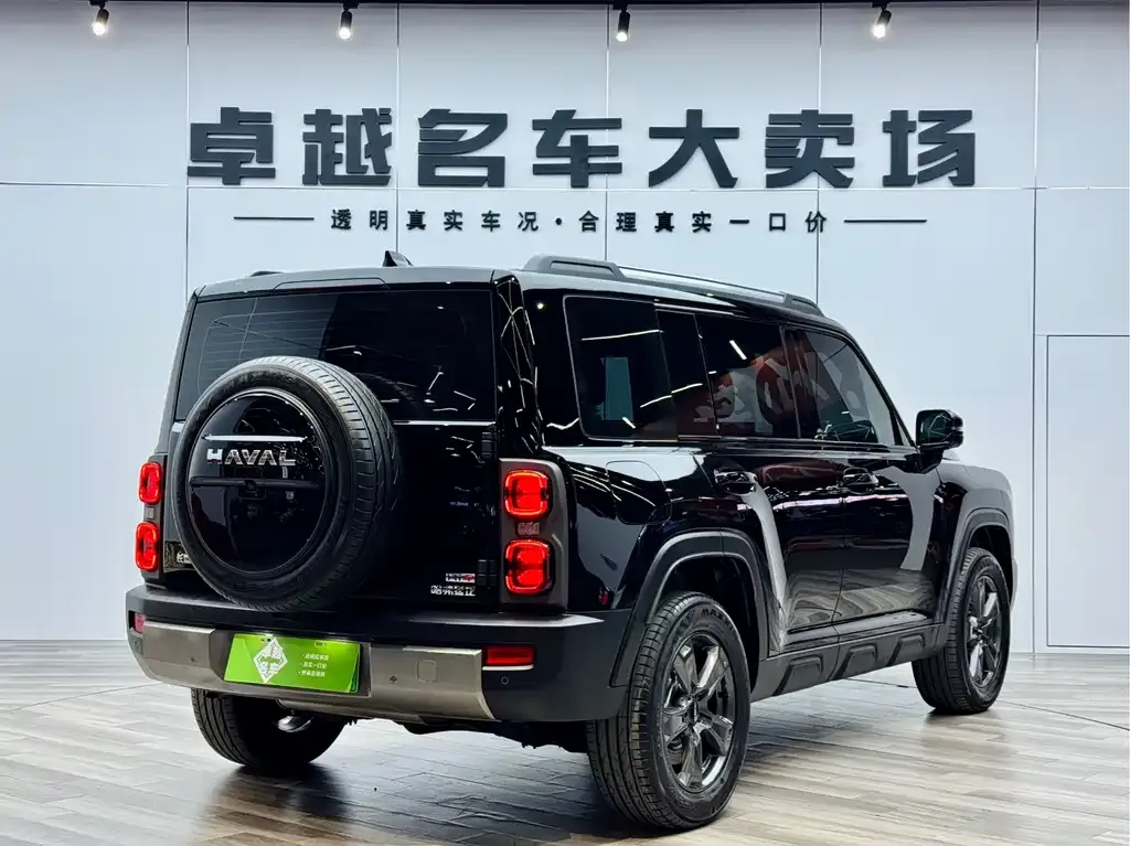 Haval Menglong New Energy — фото 8