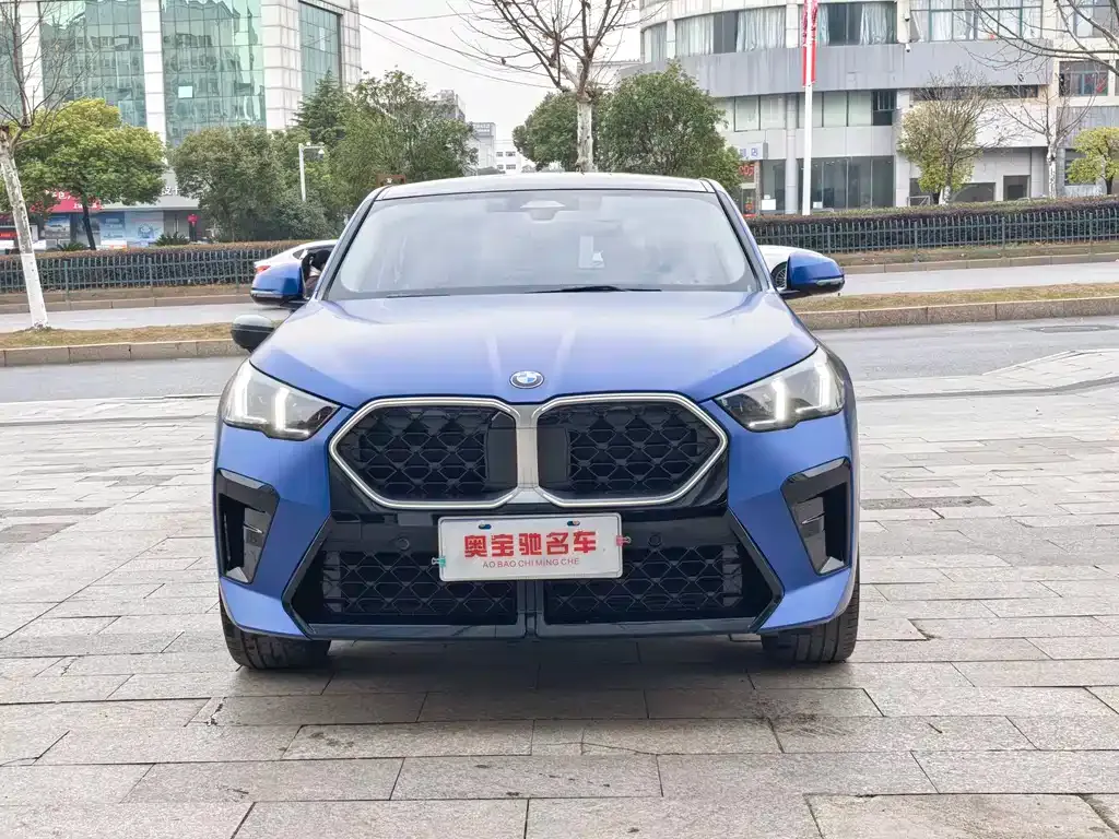 BMW X2 (Import) — фото 6