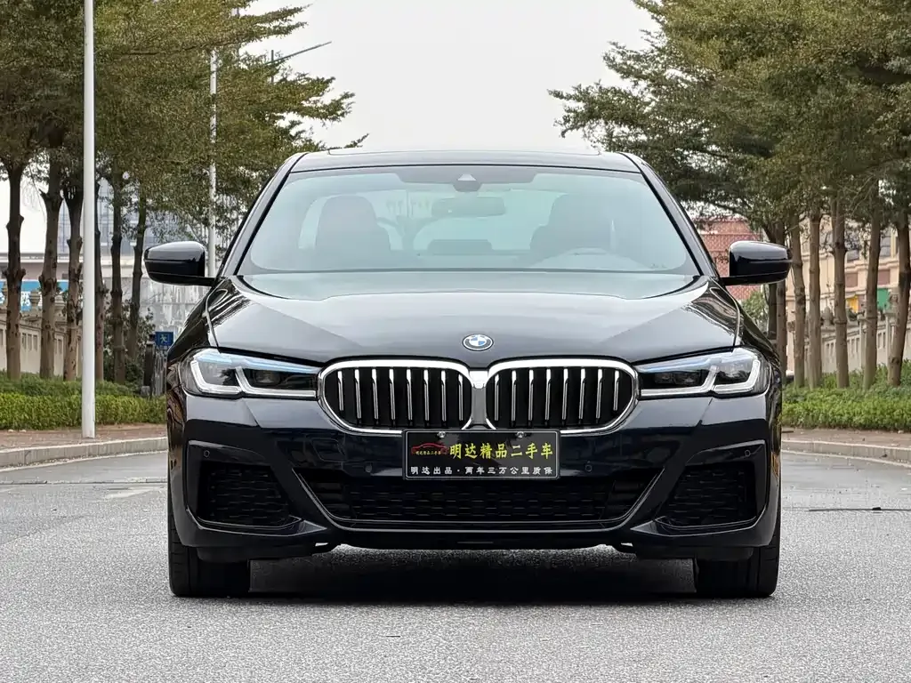 BMW 5 Series (Import) — фото 3
