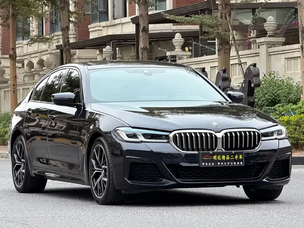 BMW 5 Series (Import) — фото 10