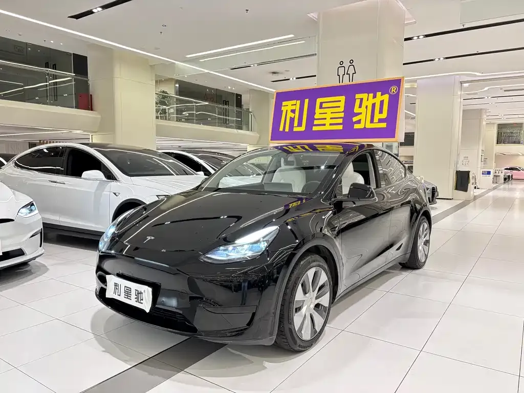 Tesla Model Y — фото 1