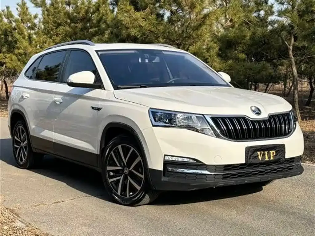 Skoda Kamiq — фото 9