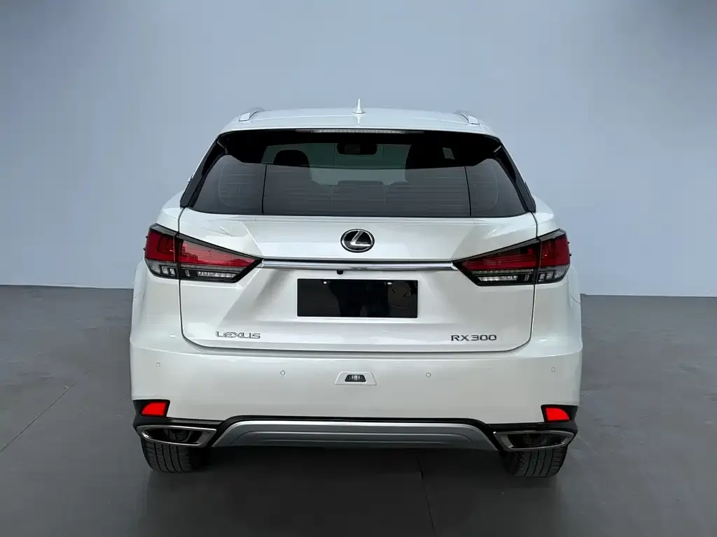 Lexus RX — фото 4