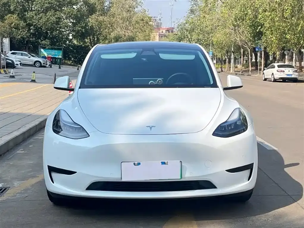 Tesla Model Y — фото 1