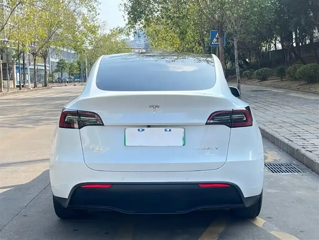 Tesla Model Y — фото 7