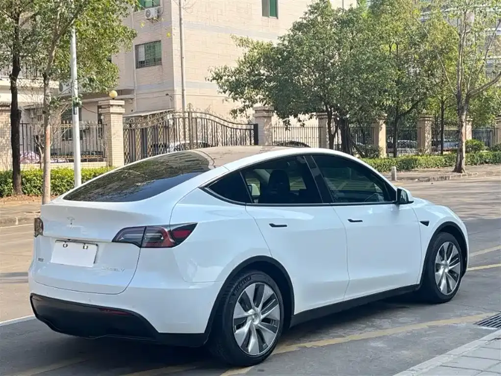Tesla Model Y — фото 8