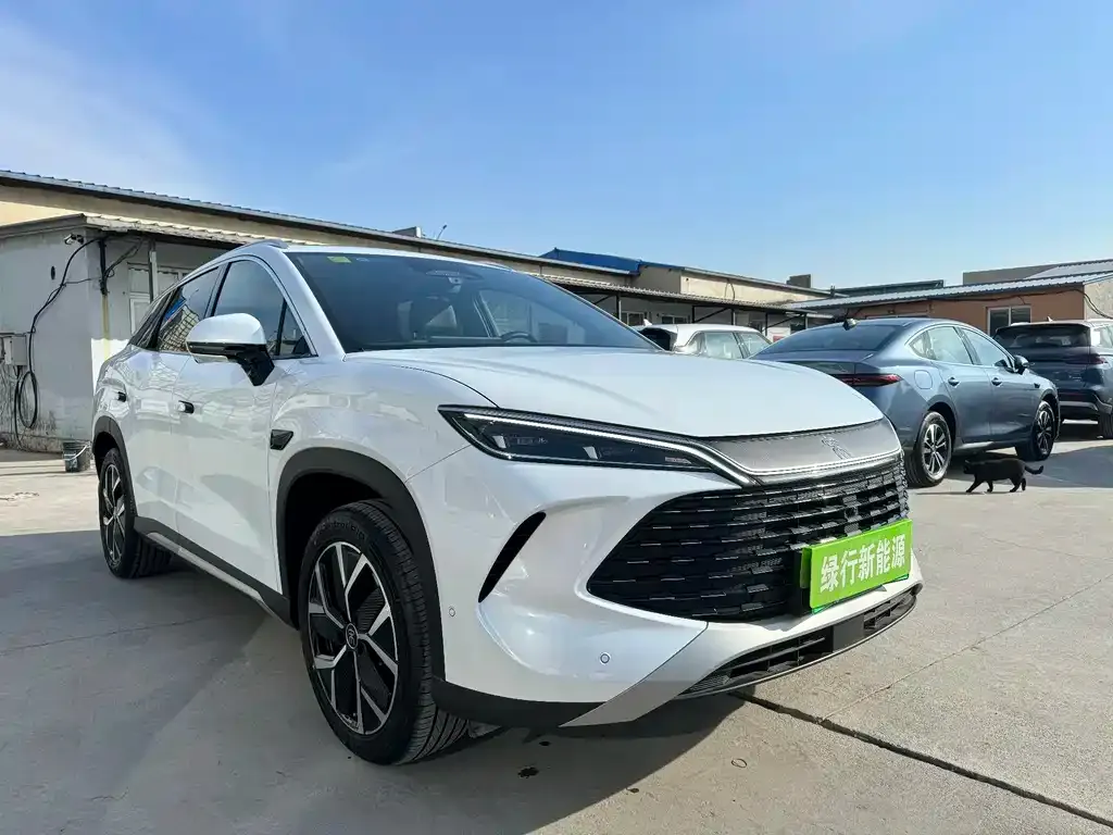 BYD L DM-i — фото 6