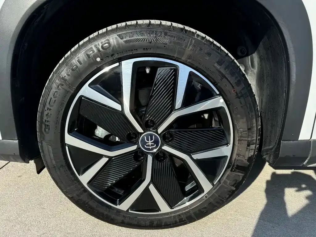 BYD L DM-i — фото 8