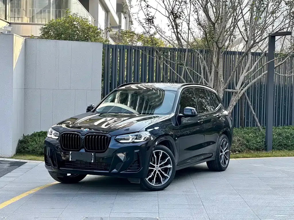 BMW X3 — фото 1