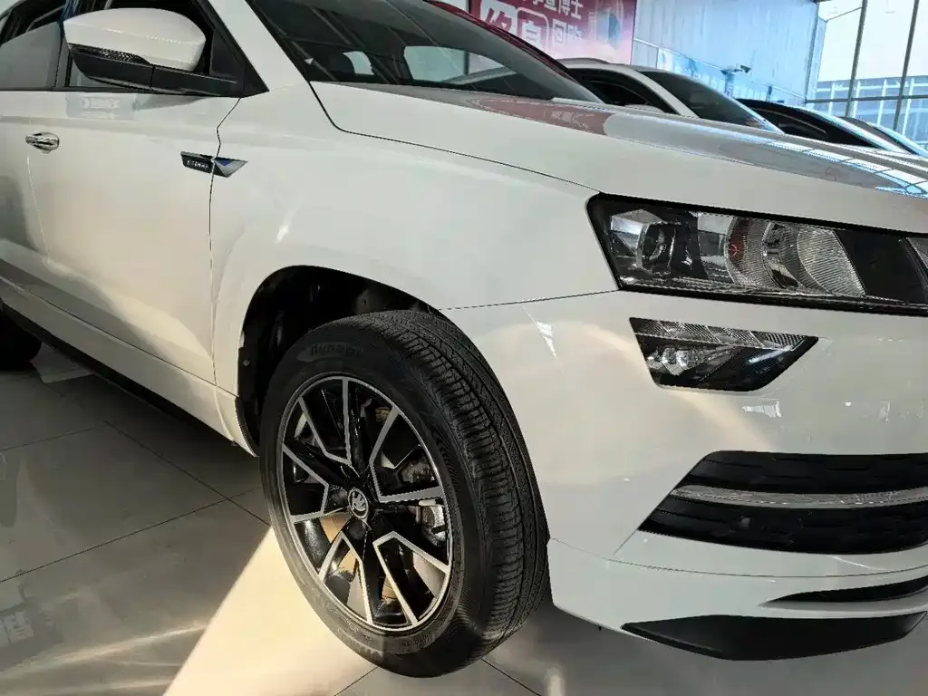 Skoda Karoq — фото 4
