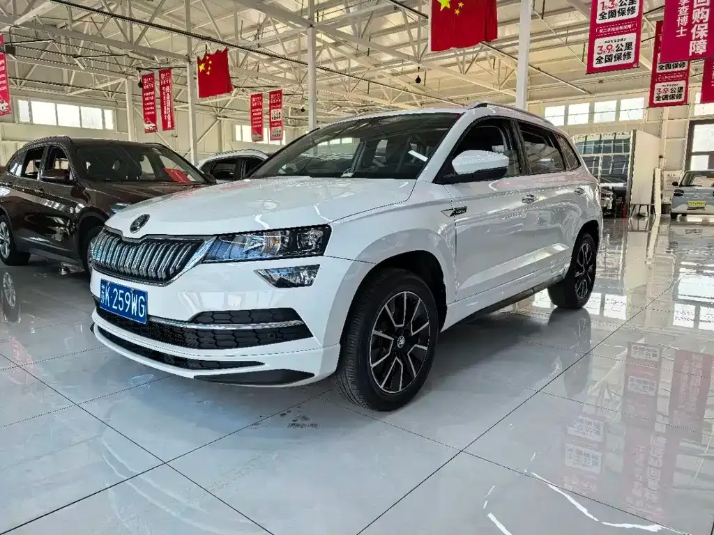 Skoda Karoq — фото 10