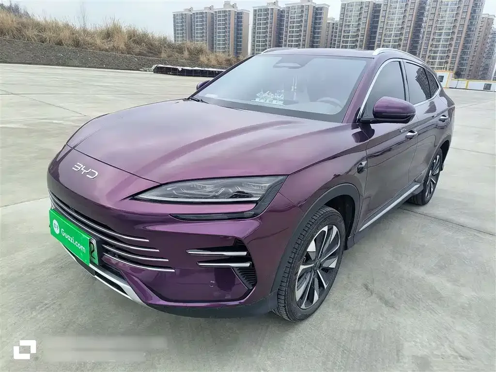 BYD PLUS New Energy — фото 1