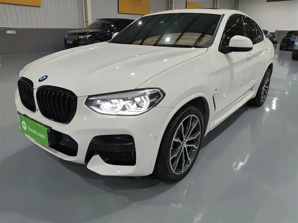 BMW X4 — фото 1