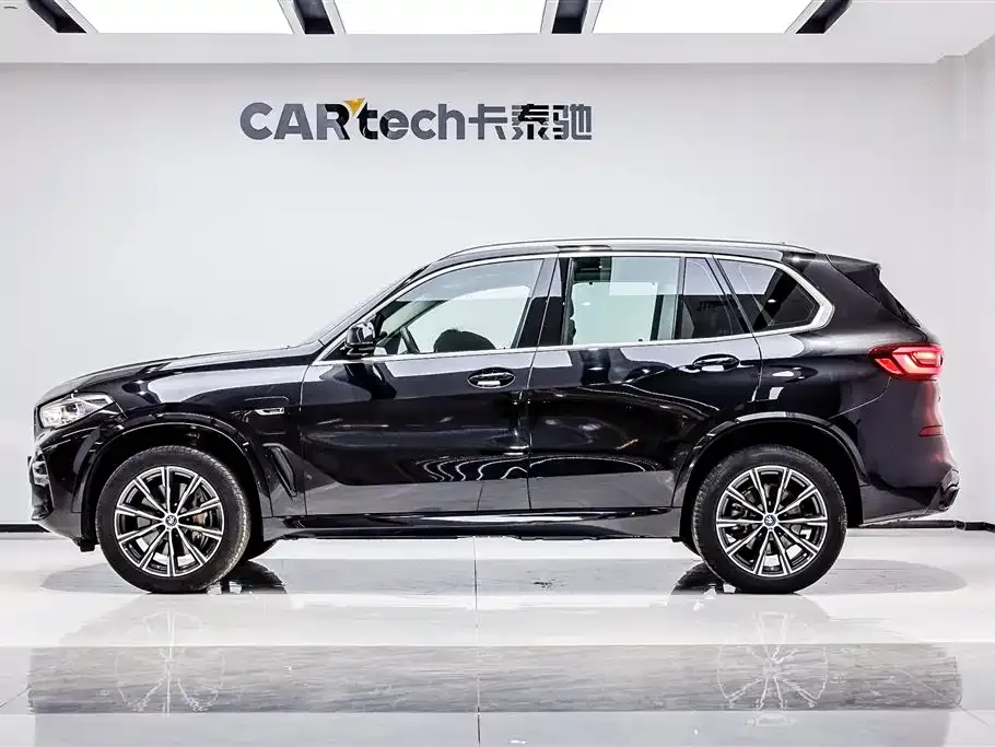 BMW X5 New Energy (Import) — фото 3