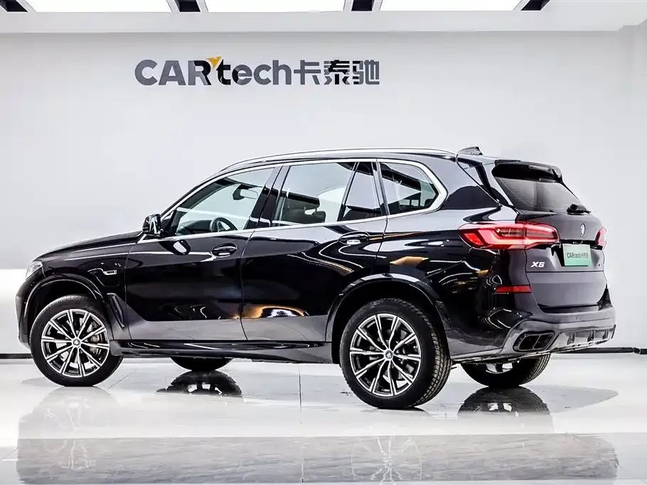 BMW X5 New Energy (Import) — фото 4