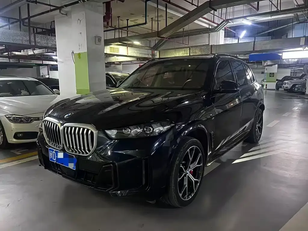 BMW X5 — фото 1