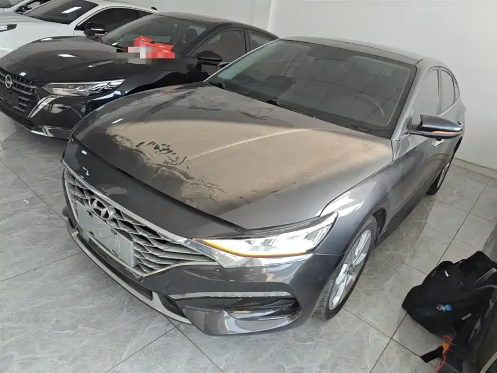Hyundai Fista — фото 1