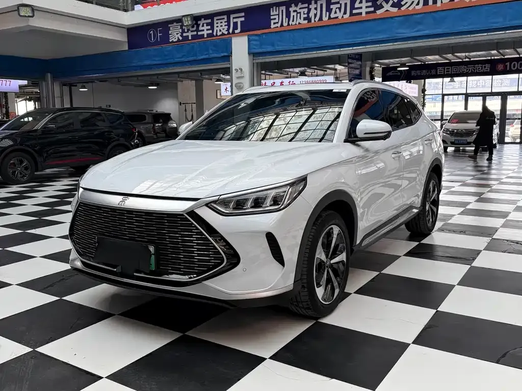 BYD PLUS New Energy — фото 1