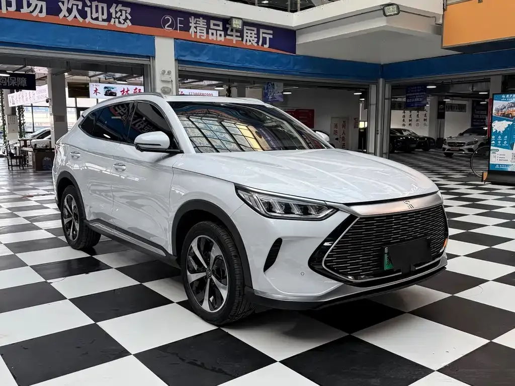 BYD PLUS New Energy — фото 9