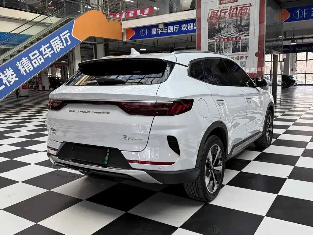 BYD PLUS New Energy — фото 5