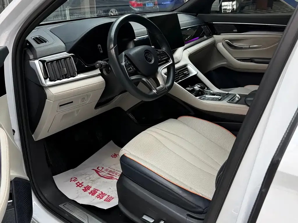 BYD PLUS New Energy — фото 10