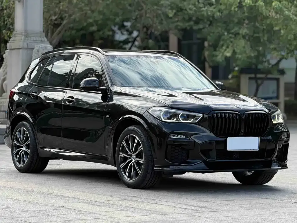 BMW X5 (Import) — фото 4