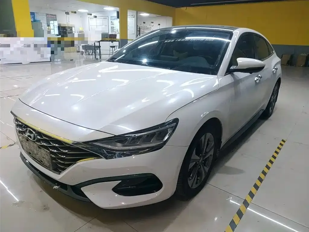 Hyundai Fista — фото 1