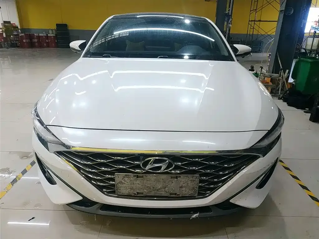 Hyundai Fista — фото 3