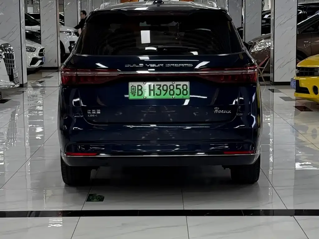 BYD MAX New Energy — фото 5