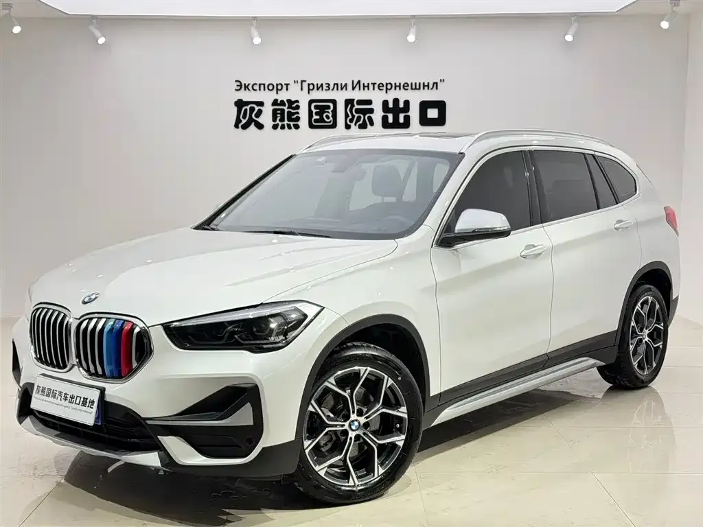 BMW X1 — фото 1