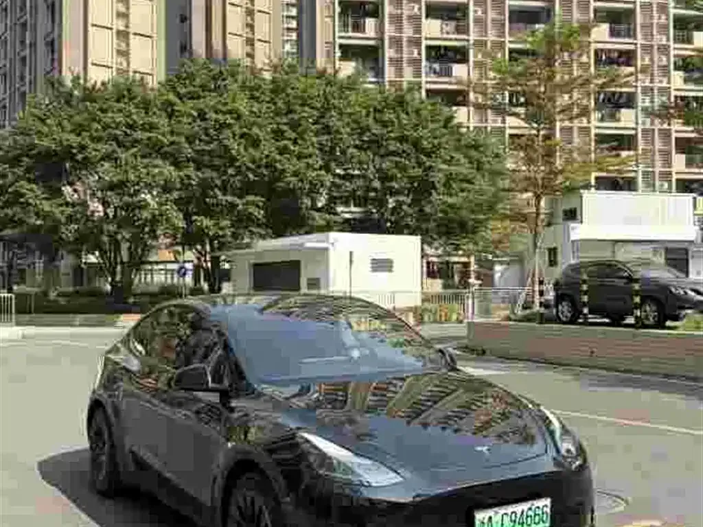 Tesla Model Y — фото 1