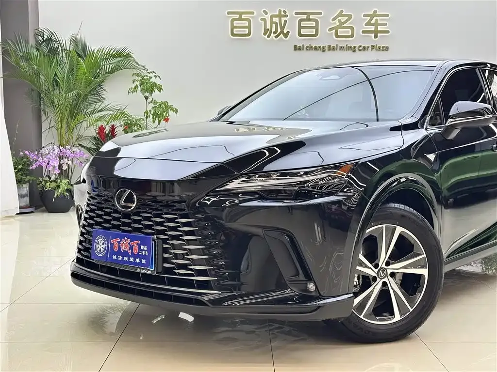 Lexus RX — фото 6