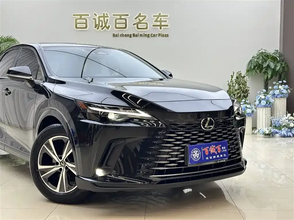 Lexus RX — фото 8