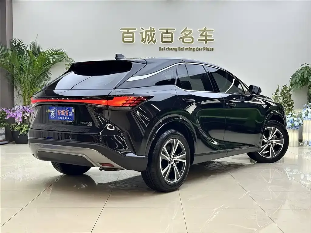 Lexus RX — фото 2