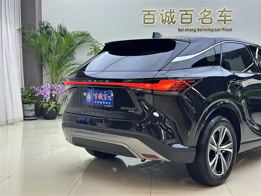 Lexus RX — фото 9