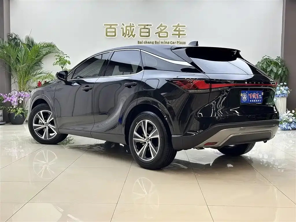 Lexus RX — фото 10