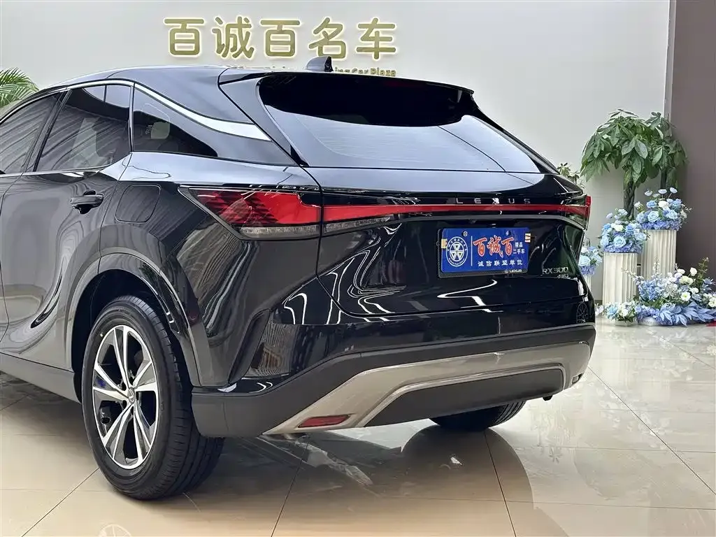 Lexus RX — фото 3