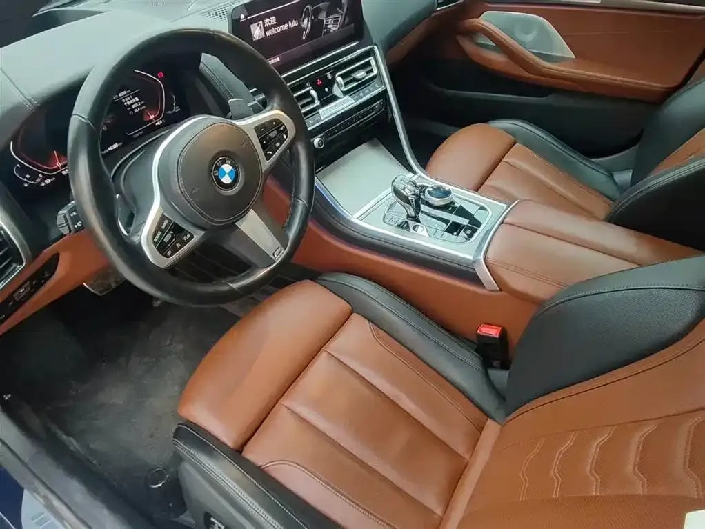 BMW 8 Series — фото 10