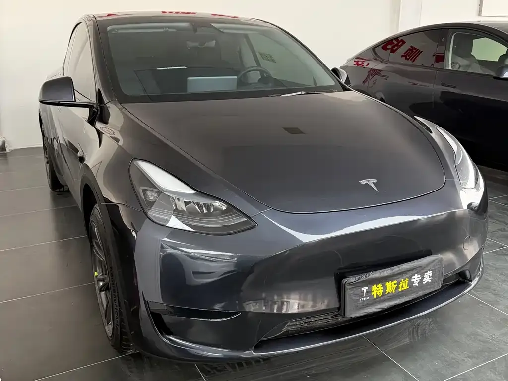 Tesla Model Y — фото 2