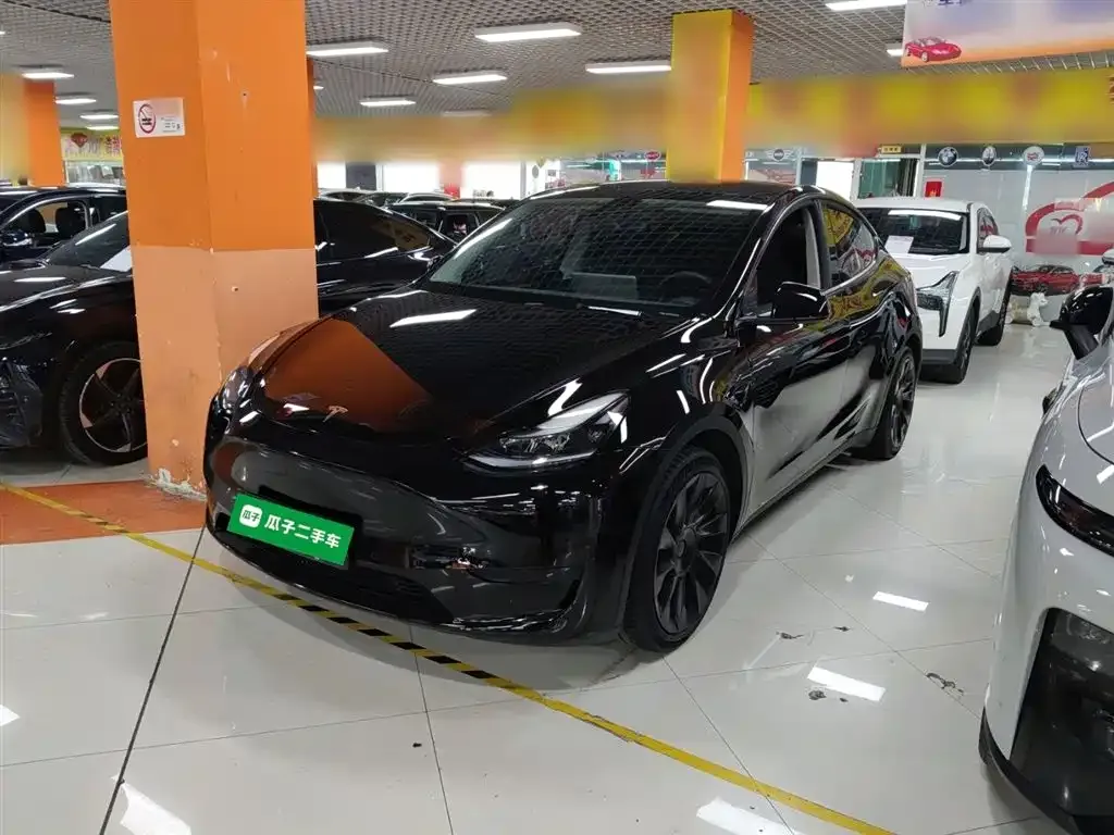Tesla Model Y — фото 1