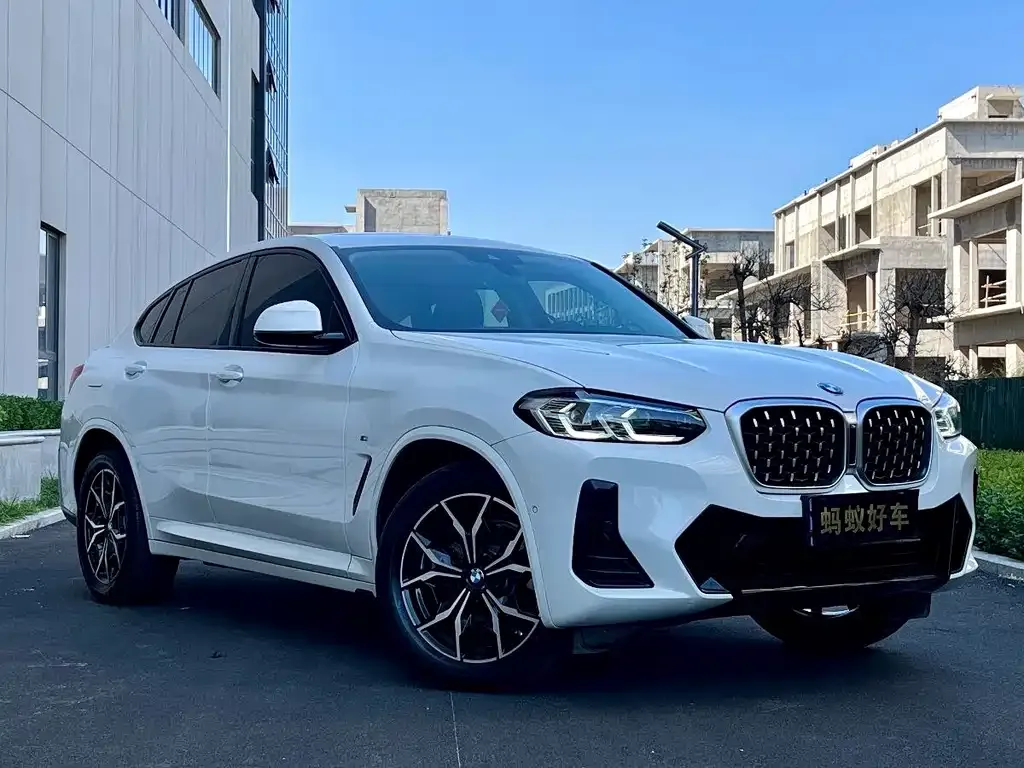 BMW X4 — фото 6