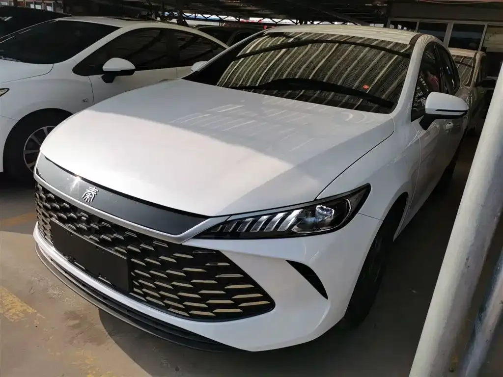 BYD Qin PLUS — фото 1