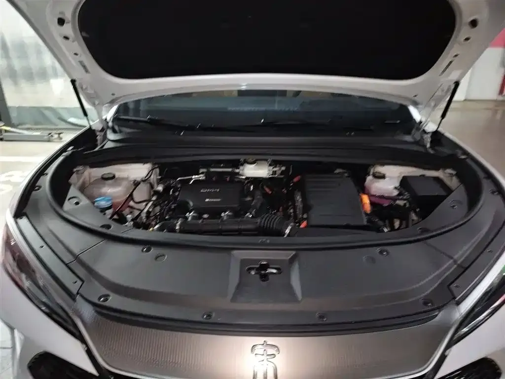 BYD L DM-i — фото 10