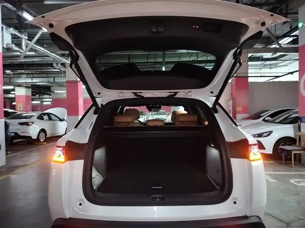 BYD L DM-i — фото 7