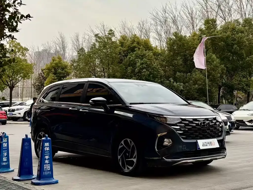 Hyundai Custo — фото 9