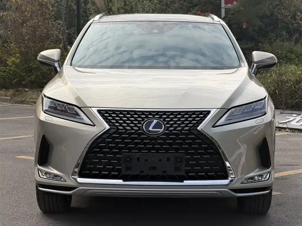 Lexus RX — фото 6