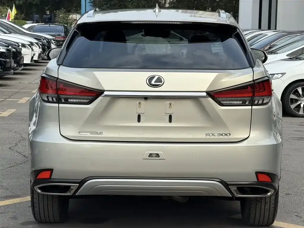 Lexus RX — фото 8