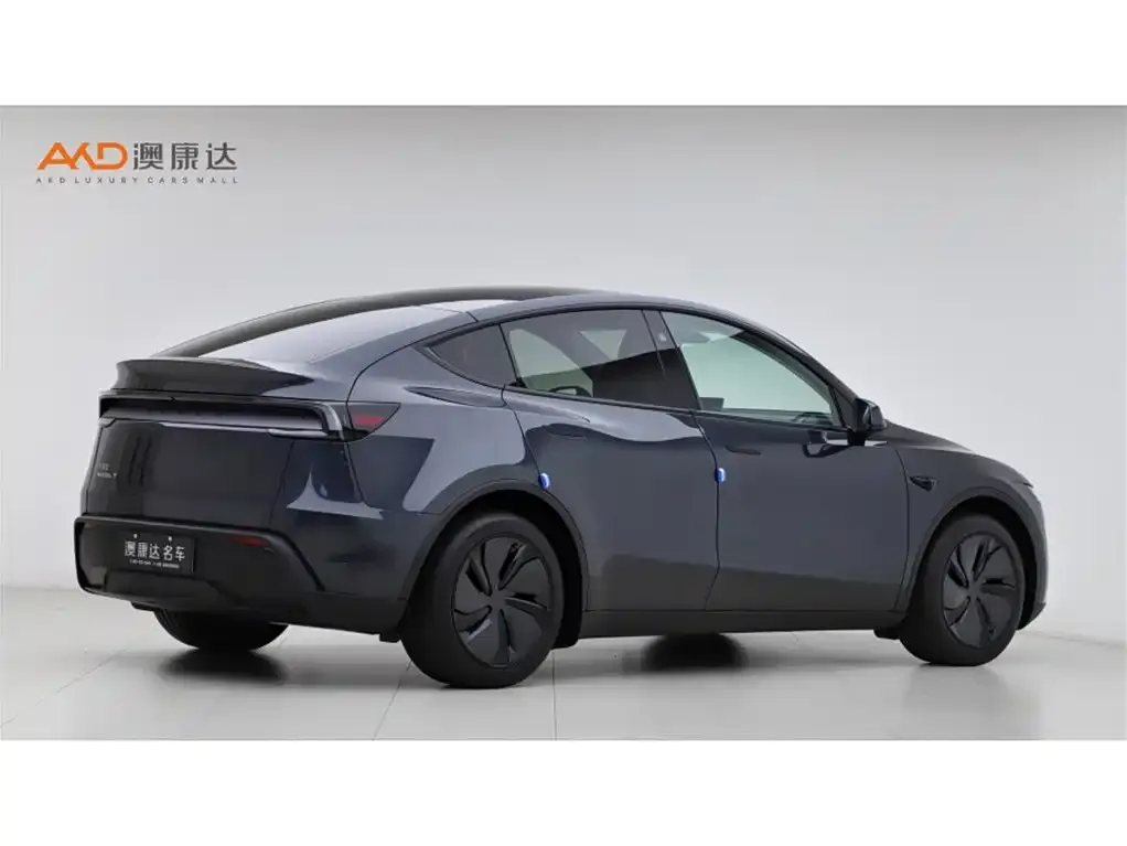 Tesla Model Y — фото 8