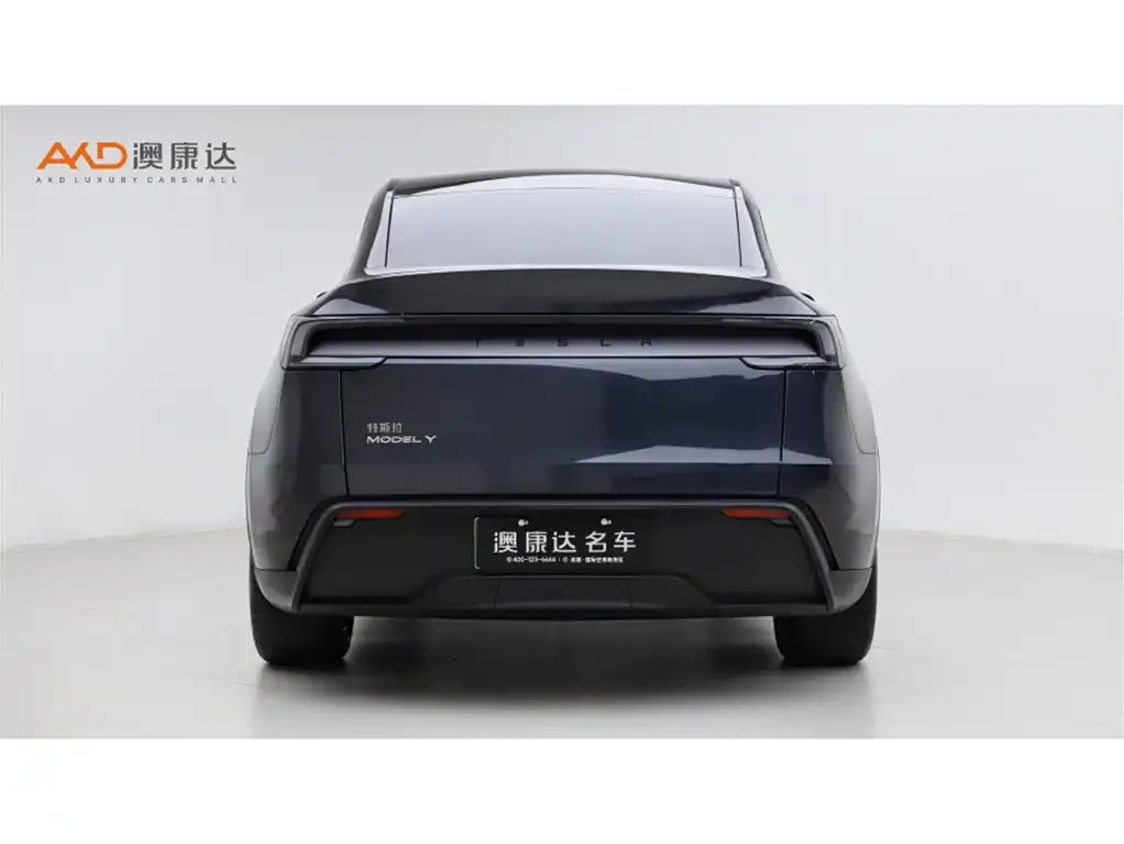 Tesla Model Y — фото 10