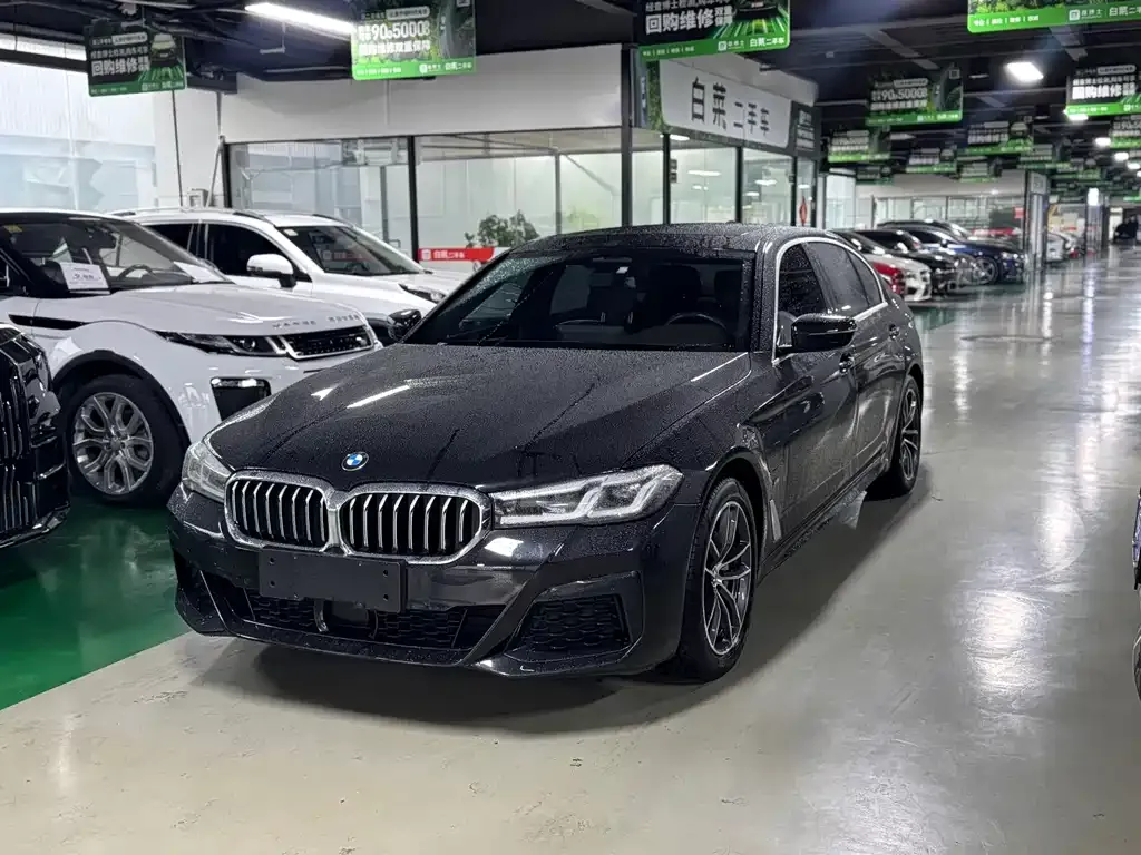BMW 5 Series New Energy — фото 1